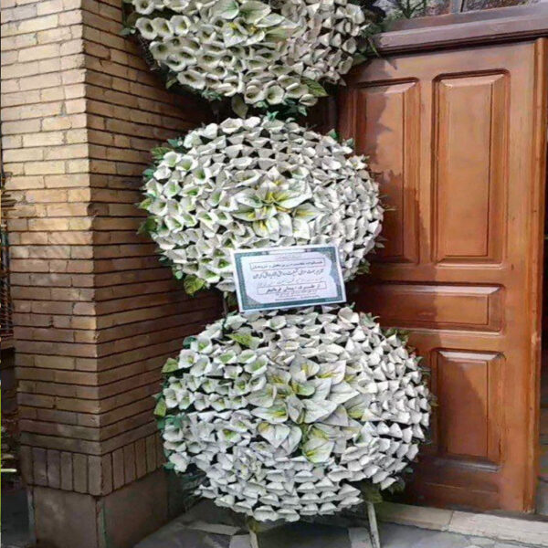 تاج گل خیریه ماهدشت